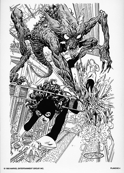 Plate 4