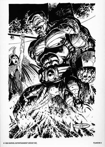 Plate 5